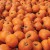 Hundreds of orange pumpkins